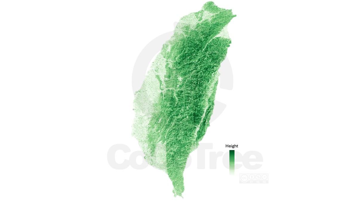 Inforest 全台森林模型即將上線|從社會關注到數據治理